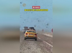 遮天蔽日！撒哈拉沙漠公路遭遇蝗群侵袭，交通受阻危机四伏
